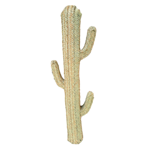 cactus esparto